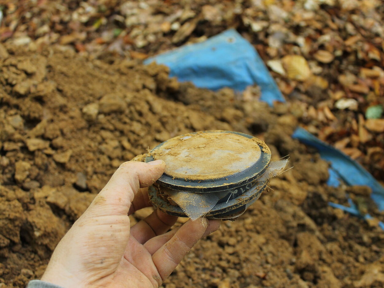 Probengefäß mit Laubstreu