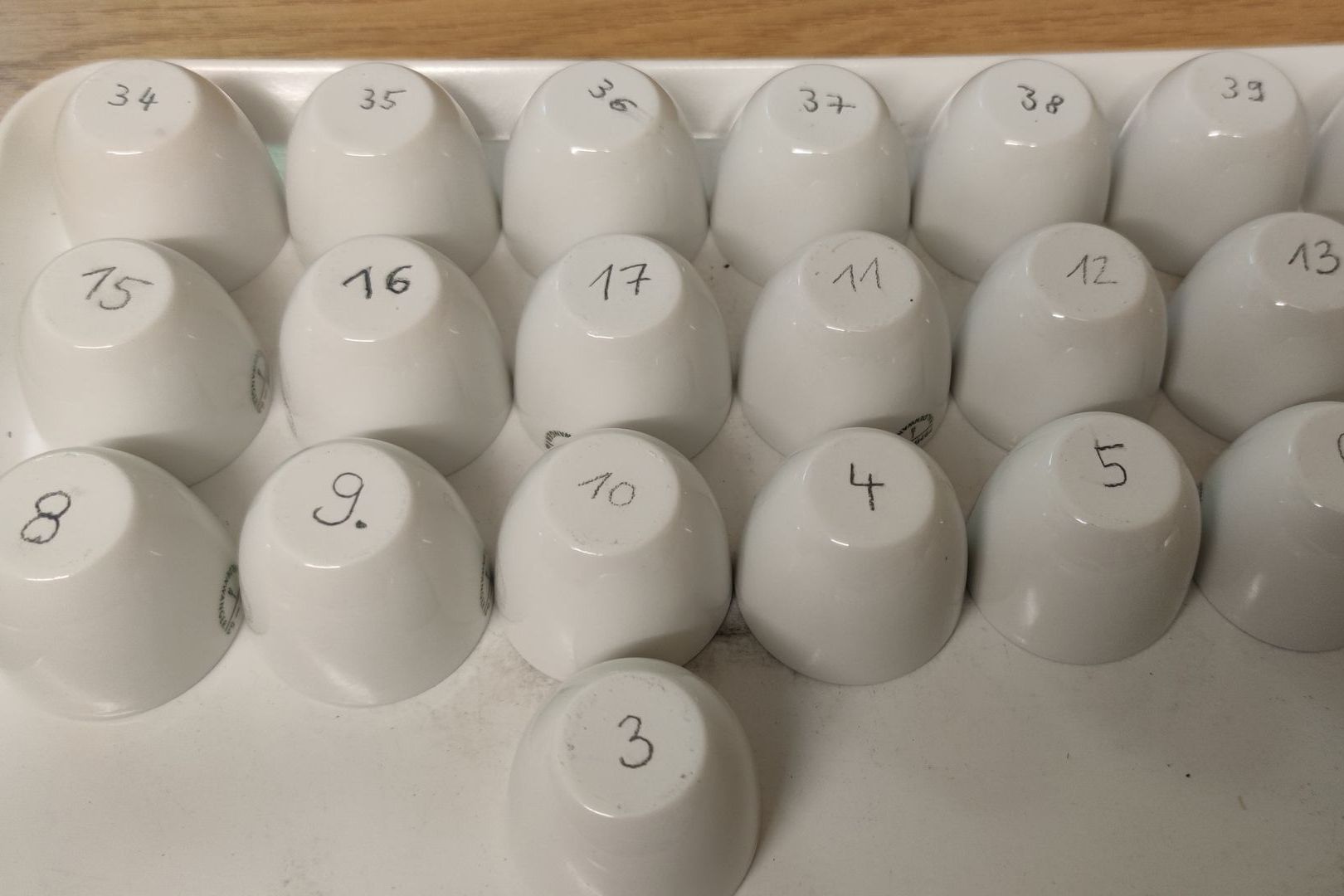 Auf einem Tablett befinden sich viele umgedrehte Tiegel mit Nummern versehen.