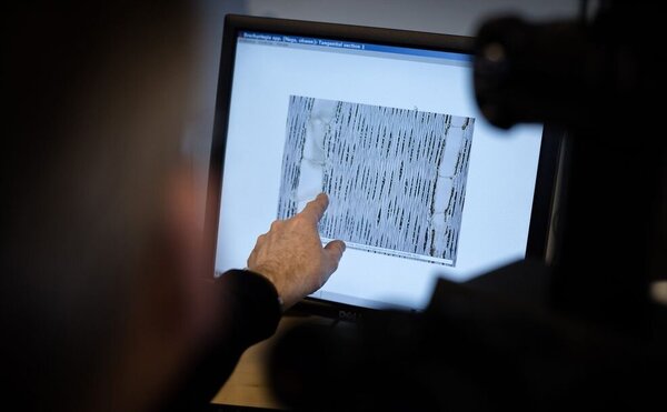 Ein mikroskopischer Längsschnitt einer Holzprobe wird am Bildschirm im Thünen-Kompetenzzentrum Holzherkünfte untersucht. Zu sehen ist ein beleuchteter Bildschirm, eine Hand und davon der Zeigefinger zeigt auf den abgebildeten Holzschnitt.