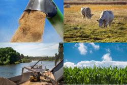 Entwicklung der LGR - Rolle der Importe auf die landwirtschaftliche Wertschöpfung