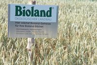 Bioland-Schild im Kornfeld mit Hinweis auf eine Erzeugerkreis-Kooperation mit Bioland-Bäckereien in Baden-Württemberg.