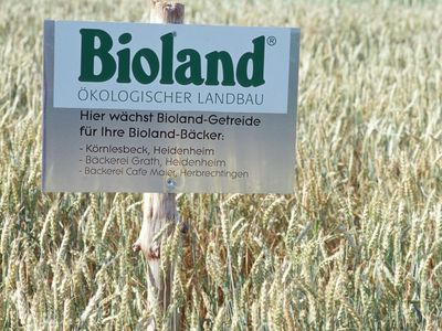 Bioland-Schild im Kornfeld mit Hinweis auf eine Erzeugerkreis-Kooperation mit Bioland-Bäckereien in Baden-Württemberg.