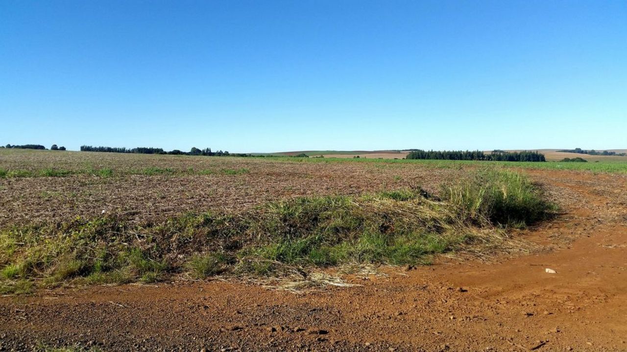 Crop residues in a no-till system in Brazil
