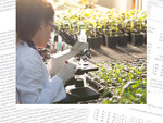 Young biologist looking at microscope with seedlings around her in greenhouse.