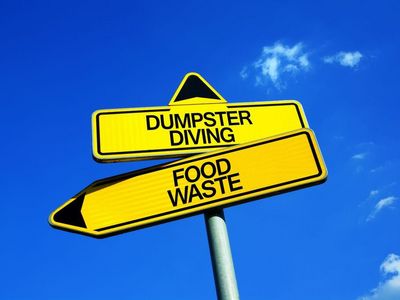 Zwei gelbe Schilder mit der Aufschrift Dumpster Diving (Mülltaucher) und Foodwaste (Lebensmittelverschwendung)