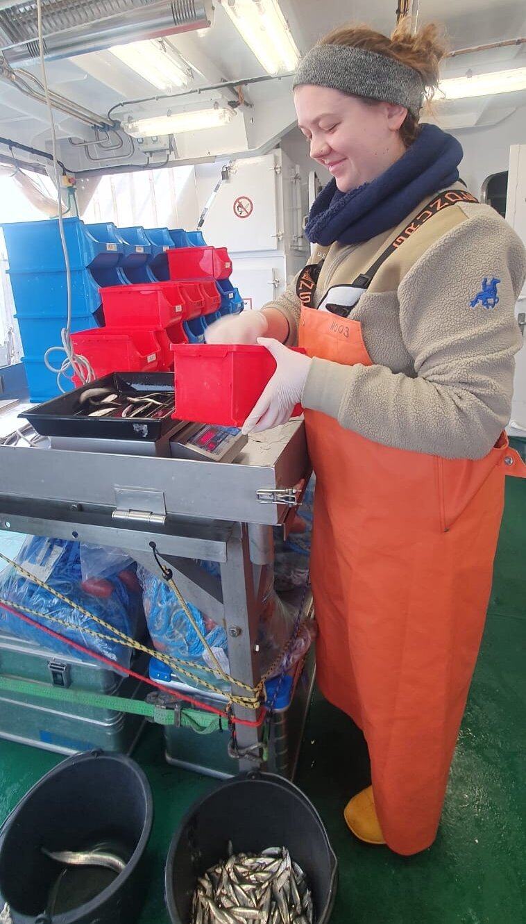 Jule Berrit Baum legt Sardinen auf eine Waage.