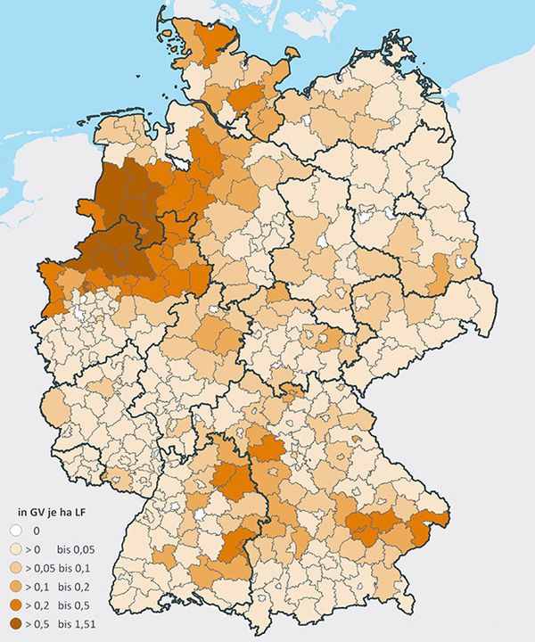 Eine Deutschlandkarte zeigt die regionale Verteilung der Mastschweine 2010 mit verschieden farbigen Flächen