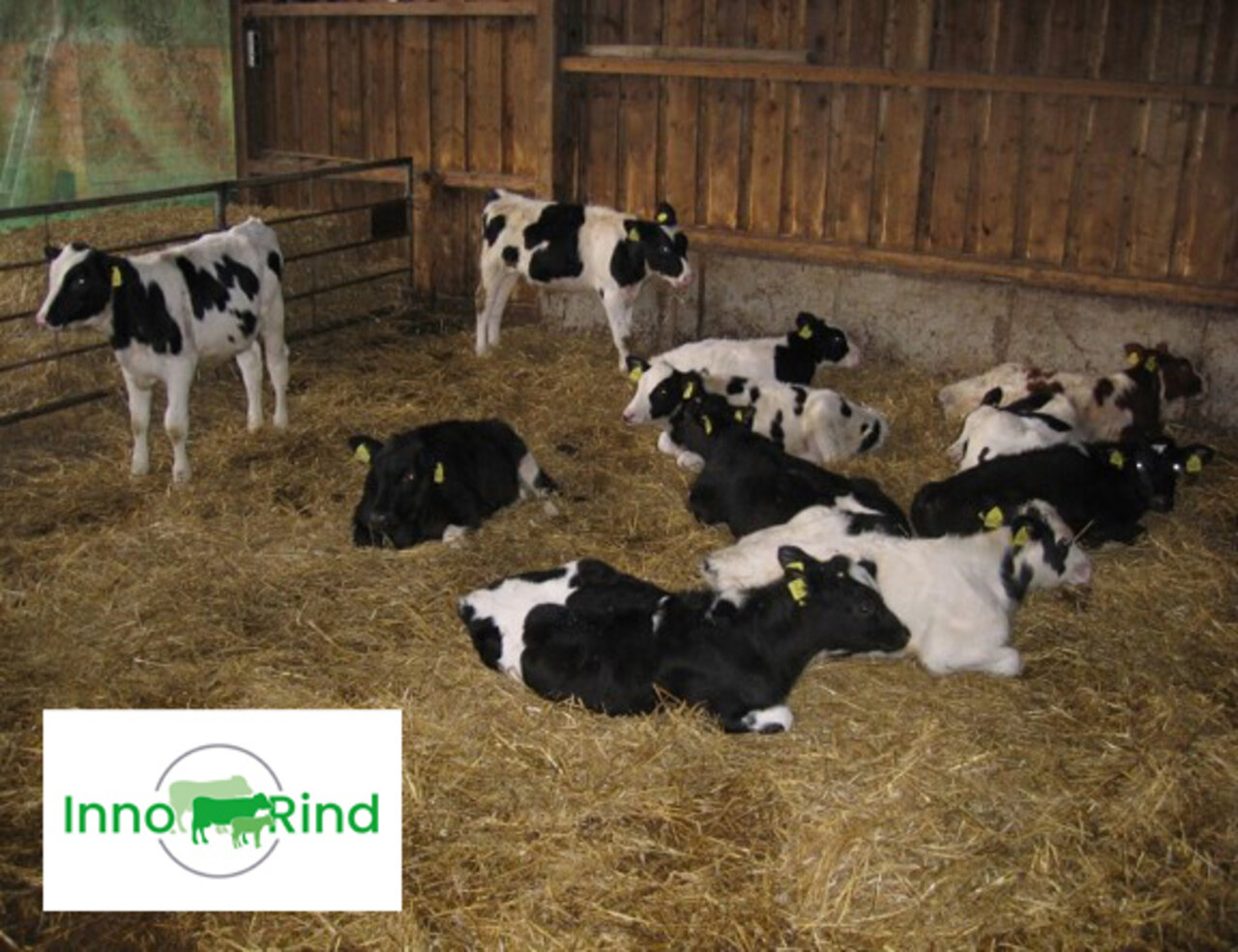 [Translate to English:]