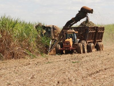 Ein Traktor bei der Ernte von Zuckerrohr