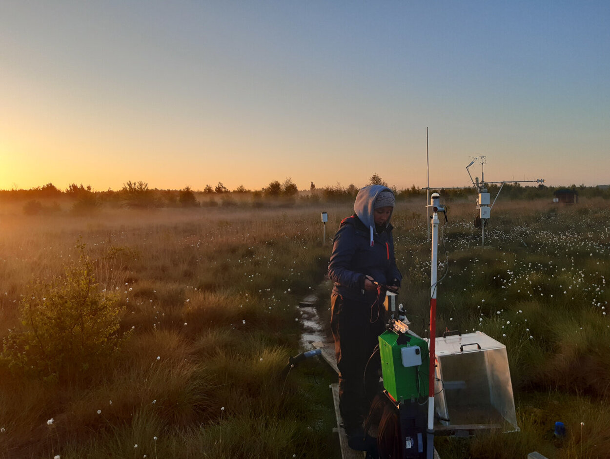 Probenahme auf einer Versuchsfläche zeitig am Morgen.
