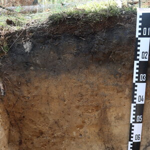 Bild eines Bodenprofils mit Messlatte.