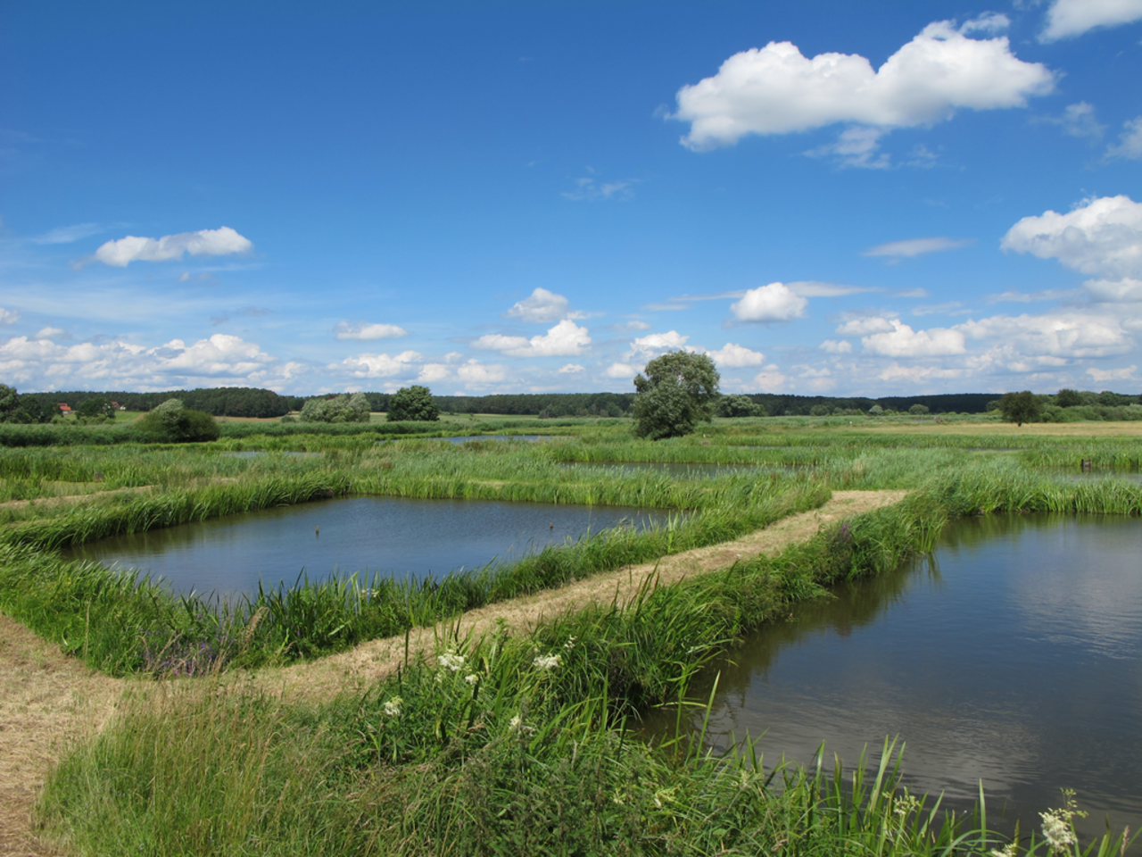 [Translate to English:]