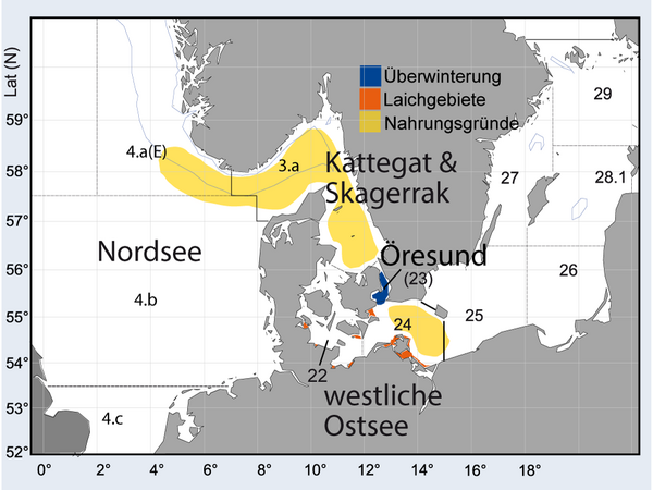 Karte mit dem Verbreitungsgebiet von Hering in der westlichen Ostsee