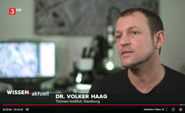 Ausschnitt aus dem 3sat Film "Rettet die Wälder"