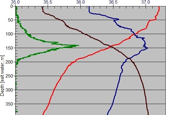 CTD-Profil: Fluoreszenz (grün),Salzgehalt (blau), Temperatur (rot) und Dichte (braun).