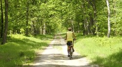 Erholungswert des Waldes im Zeitvergleich