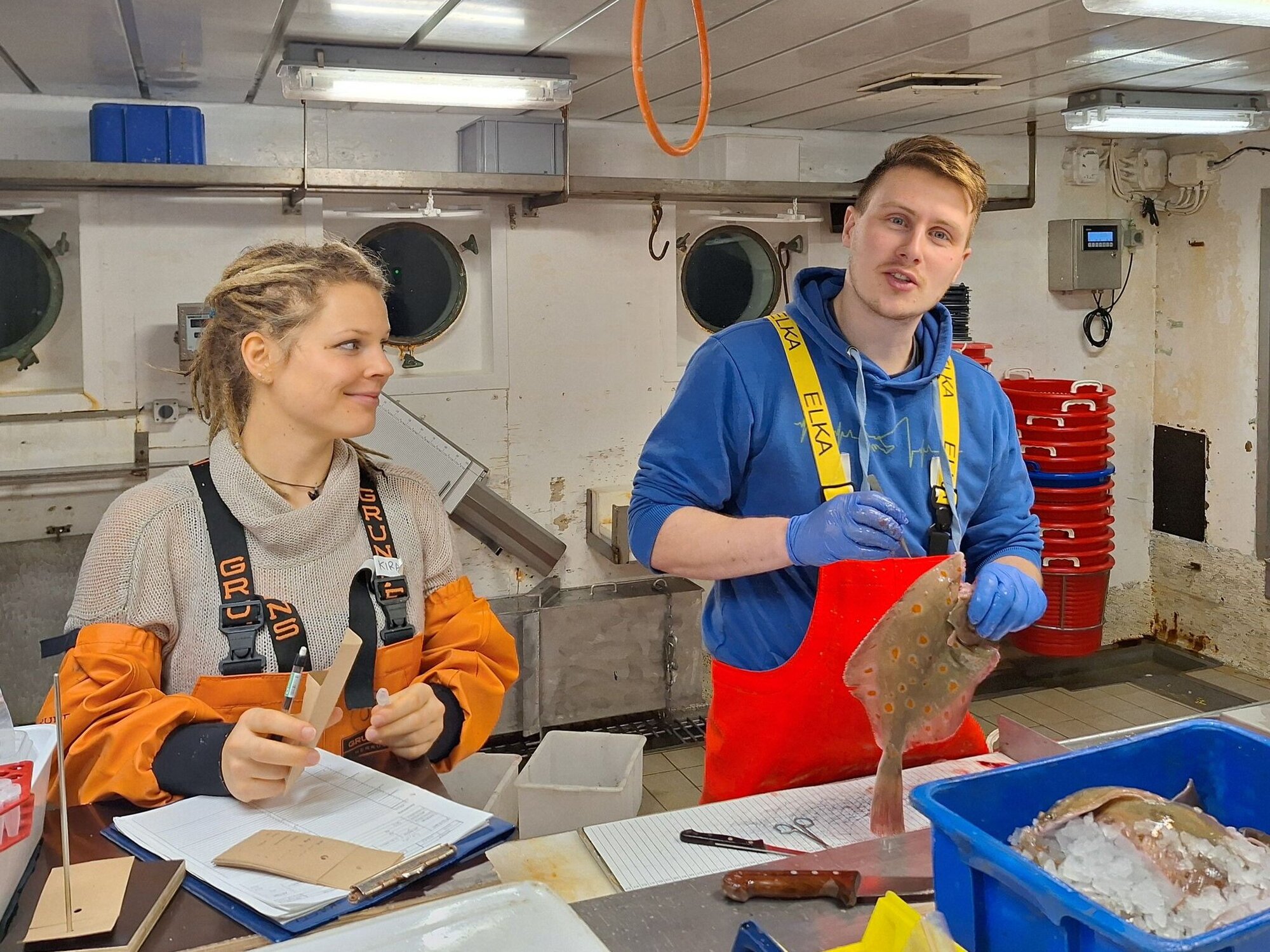 Entnahme der Gehörsteine