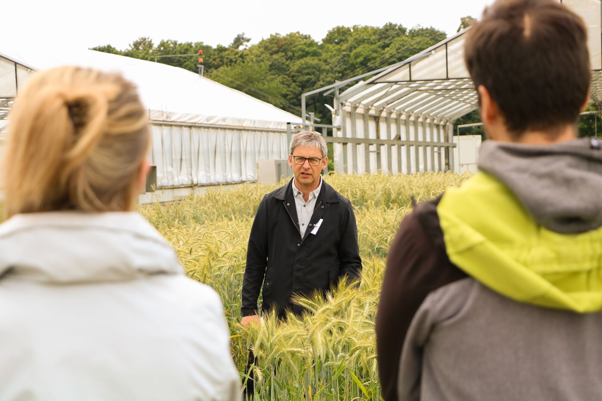 Mann im Roggenfeld vor Publikum