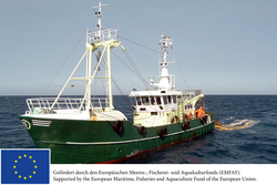 Analyses of fishery effort in German fishing fleets