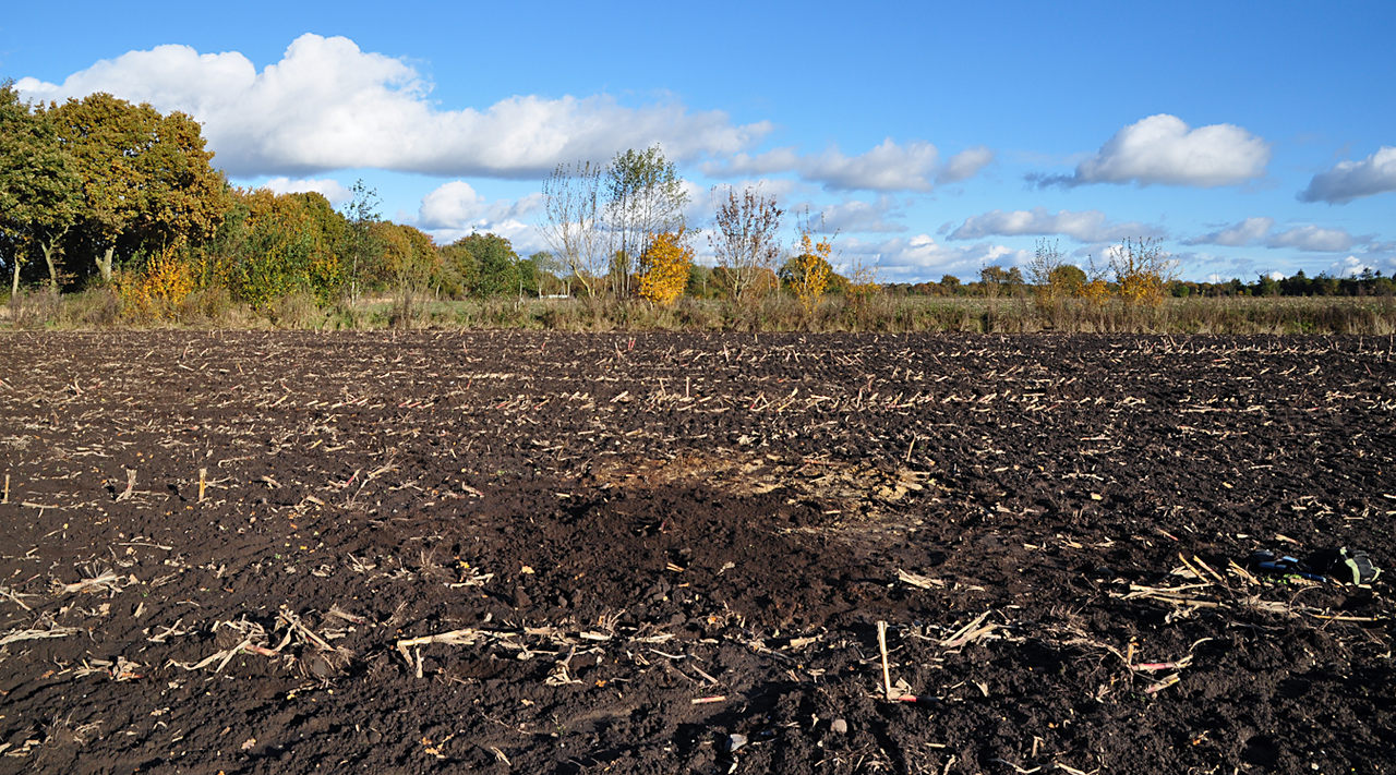 [Translate to English:]