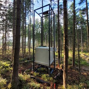 Automatisches Haubensystem zur Messung der THG Emissionen in Waldmooren