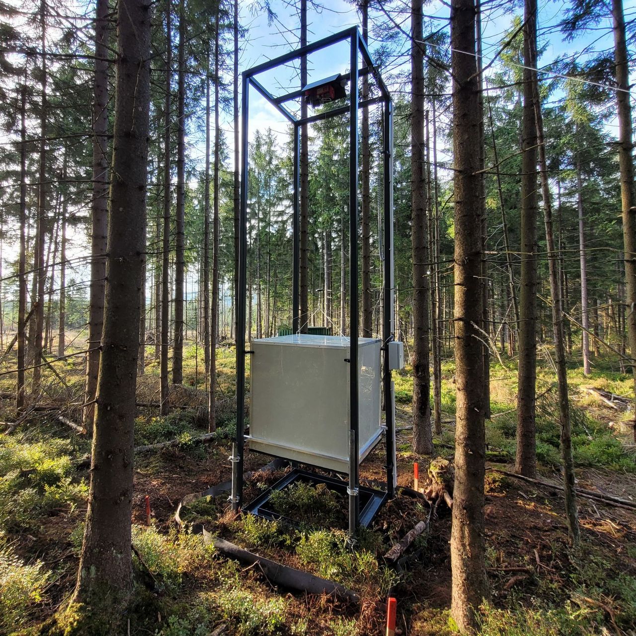 Automatisches Haubensystem zur Messung der THG Emissionen in Waldmooren