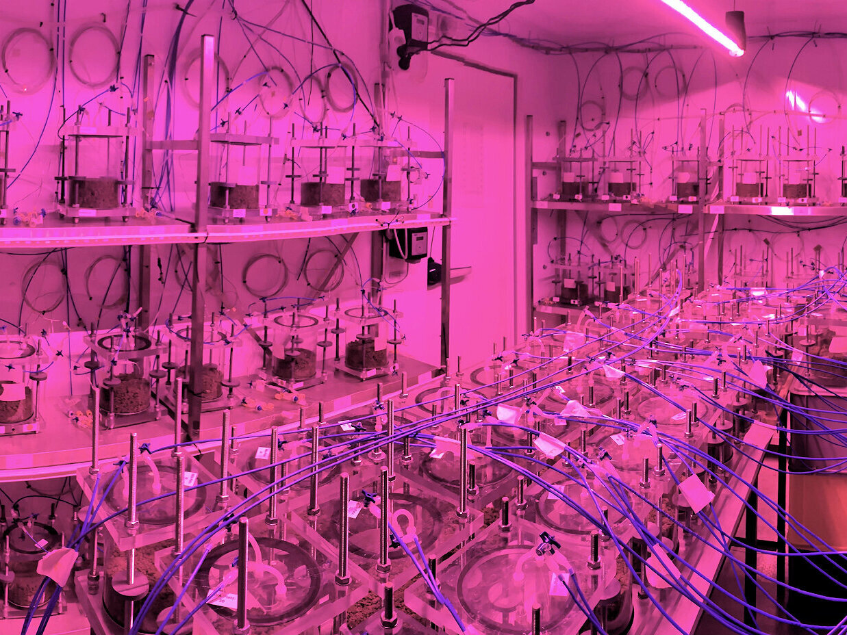 Blick in die Mikrokosmenanlage mit den Bodensäulen