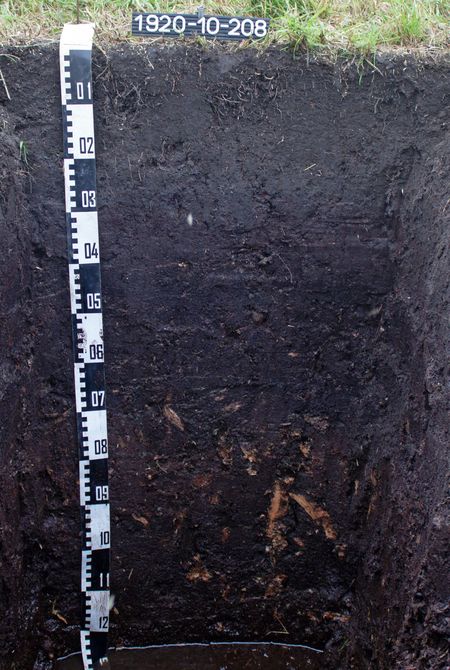Ein 1 Meter tiefes Moorbodenprofil.
