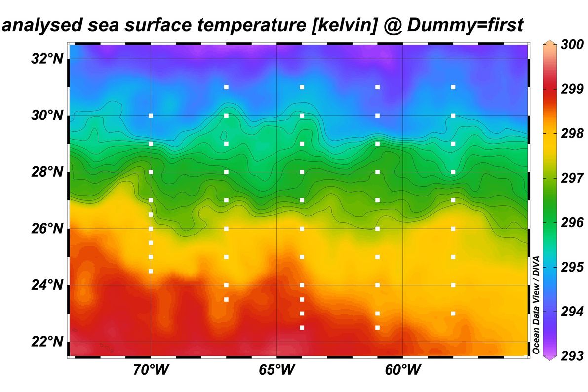Temperaturgradient im Laichgebiet der Aale. Zu sehen sind die geographischen Koordinaten und die Oberflächentemperaturen in Kelvin. 