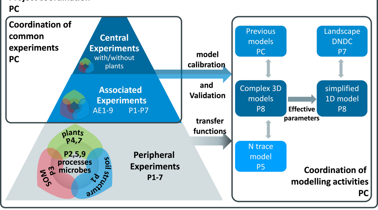 Struktur der Forschergruppe DASIM mit Themen (kreisförmige Grafik links unten), Einbindung der einzelnen Projekte (P1 bis P9), Struktur der gemeinsamen Experimente (Pyramide) und Elementen der Modellierung (Kasten rechts).