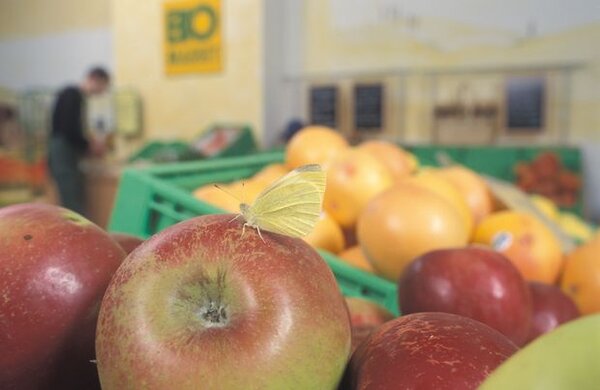 Ökologischer Landbau - Trends