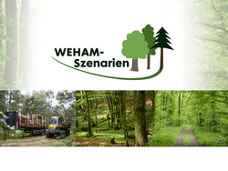 WEHAM-Szenarien