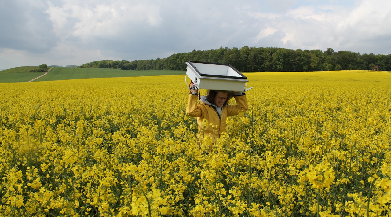 [Translate to English:]