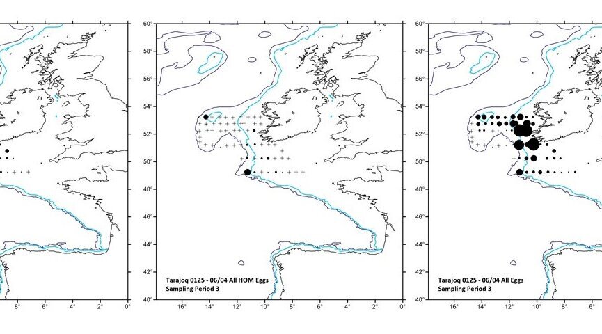 Mackerel and wood mackerel egg abundance south-west of IrelandMackerel and wood mackerel egg abundance south-west of Ireland
