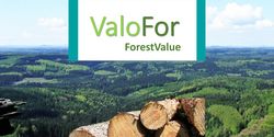 ValoFor/ForestValue