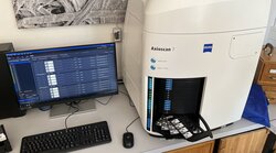 Digitalisierung der wissenschaftlichen Holzsammlung (Xylothek)