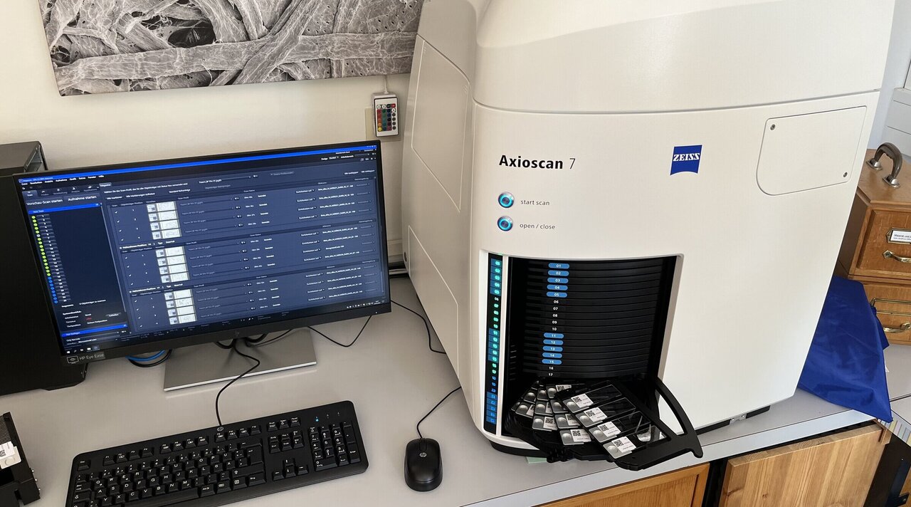 [Translate to English:]