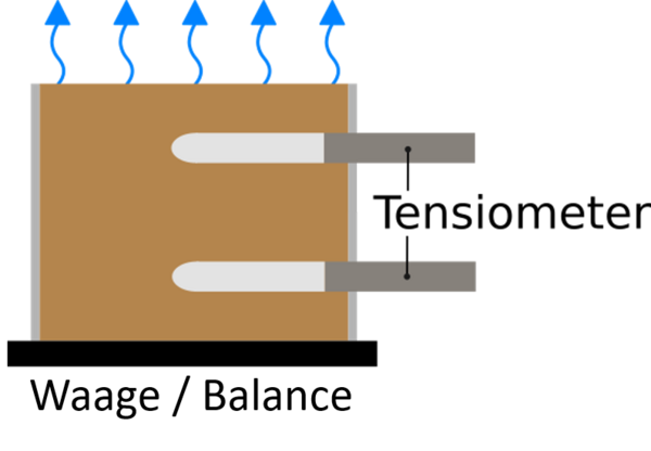 Schematic view of a evaporation experiment.