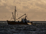 Ein Krabbenkutter mit seitlichen Netzen im Sonnenuntergang.
