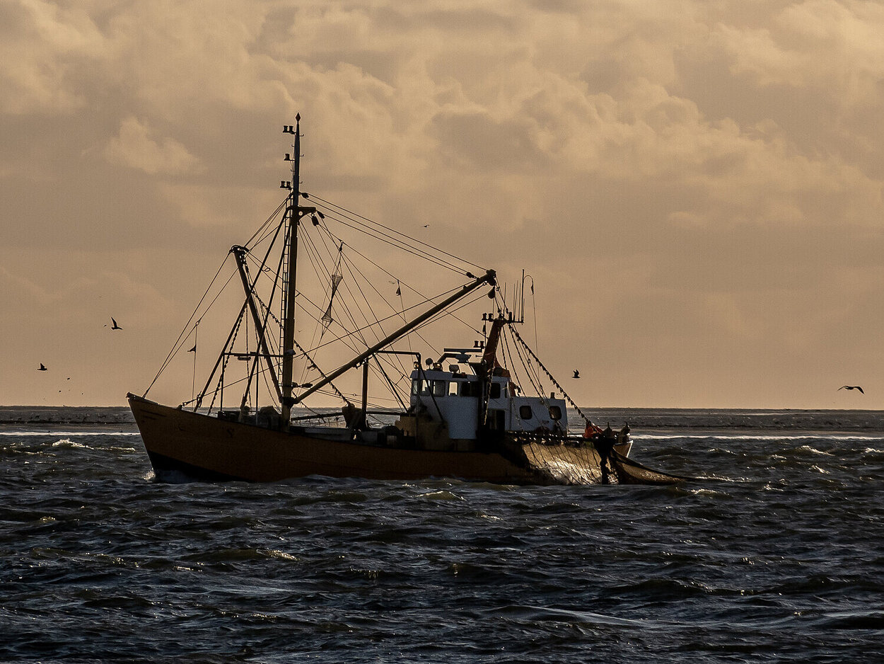 Ein Krabbenkutter mit seitlichen Netzen im Sonnenuntergang.