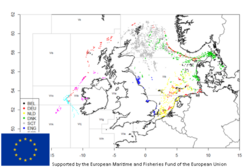 Practical recommendations for regional sampling plans (FishPi2)