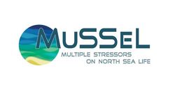 Multiple Stressors on North Sea Life (MuSSeL)