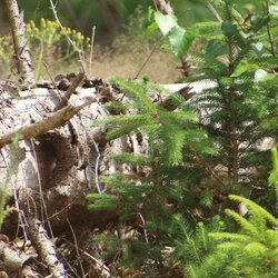 5G Pionierprojekt im ländlichen Raum