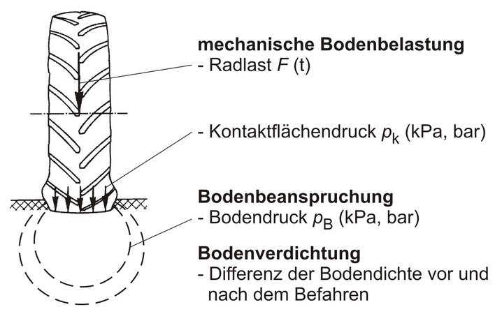 Systematik Bodenbelastung