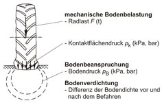 Systematik Bodenbelastung