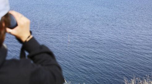 ein Mensch mit Fernglas beobachtet das Wasser