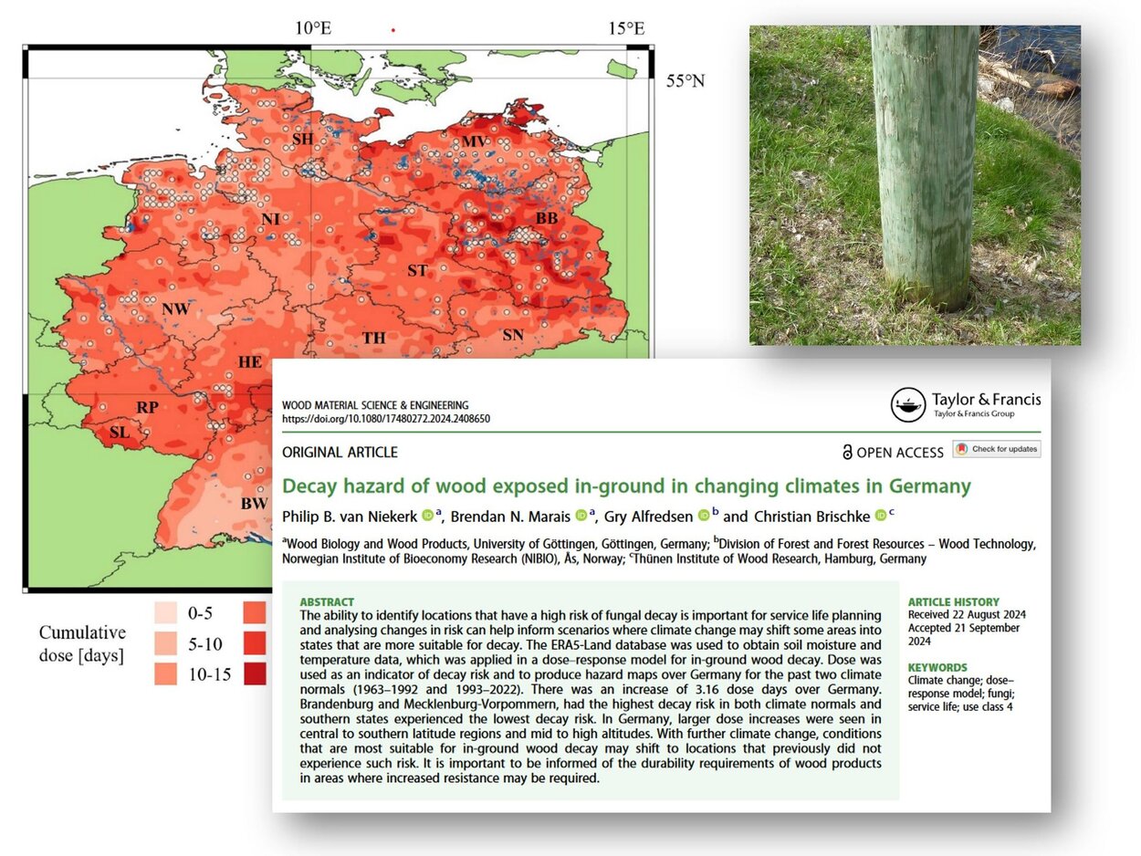 Collage: Gefährdung von Holzbauteilen im Boden durch Fäulepilze. Collage von einem Holzbauteil, einer Landkarte und Text der Veröffentlichung.