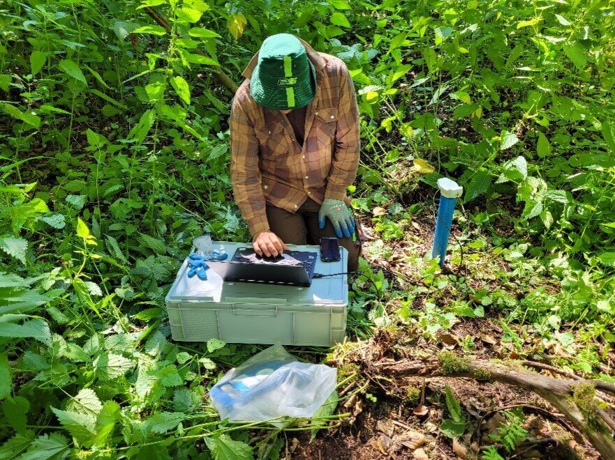 Einrichten einer Moorwasser-Messstelle in einem Niedermoor. 