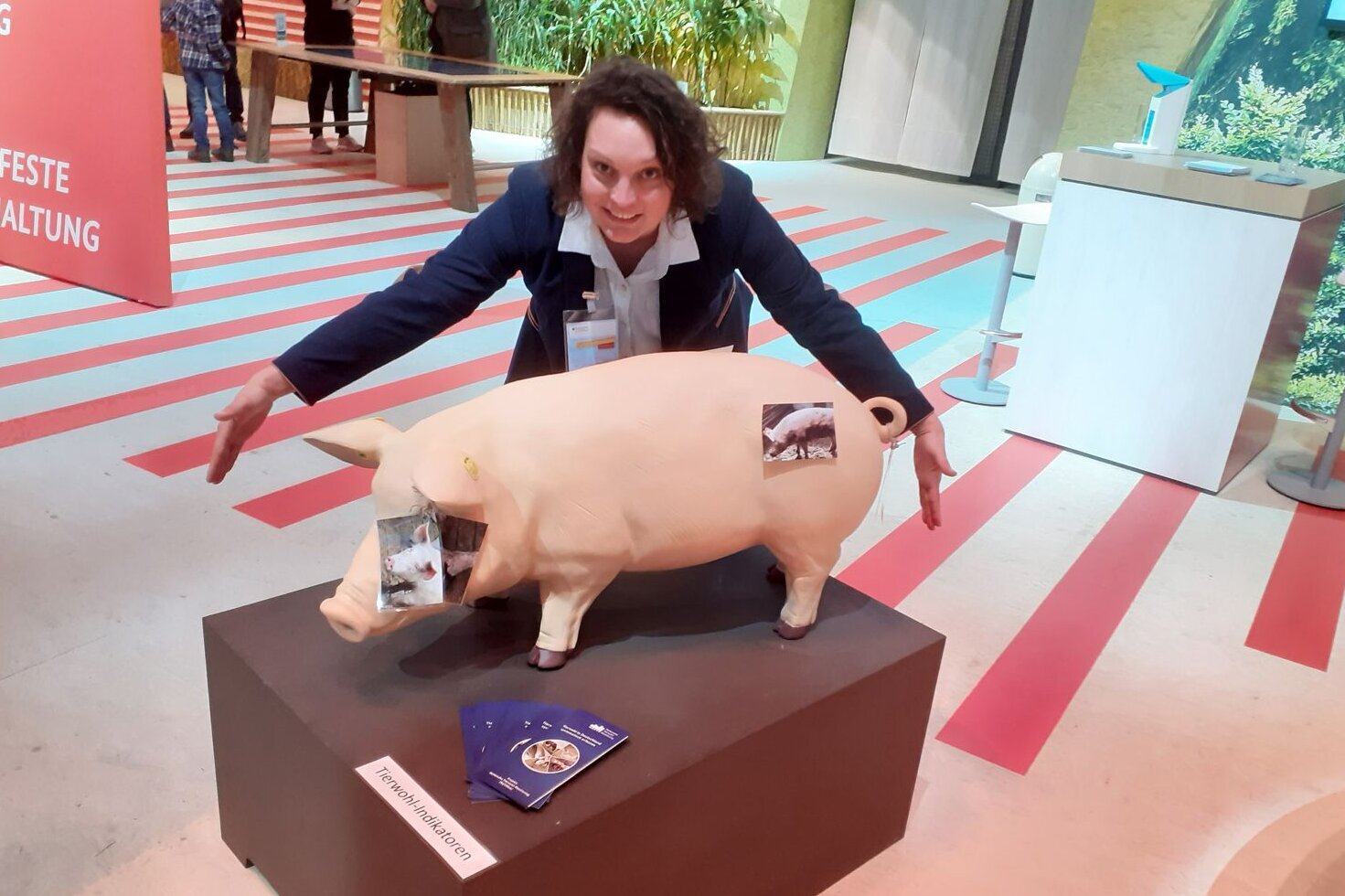 Ein Modellschwein steht auf einer markierten Fläche von 0,75 Quadratmetern.