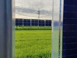 Blick zwischen zwei Agri-PV anlagen auf ein Feld auf dem auch Agri-PV Elemente stehen.